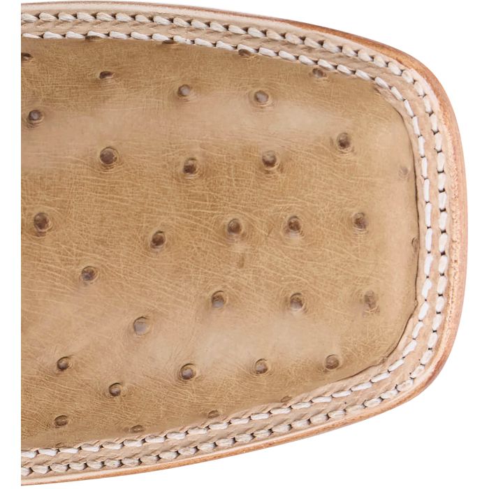 Chisolm 13" Full Quill Ostrich