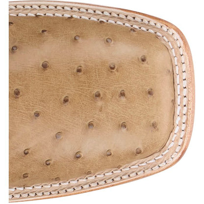 Chisolm 13" Full Quill Ostrich