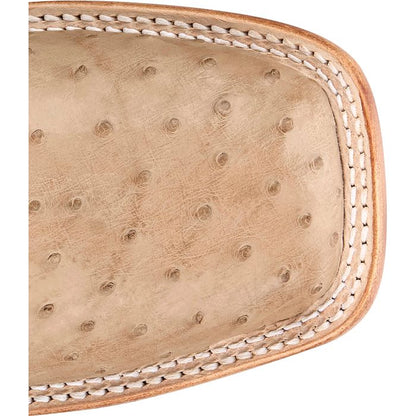 Chisolm 13" Full Quill Ostrich