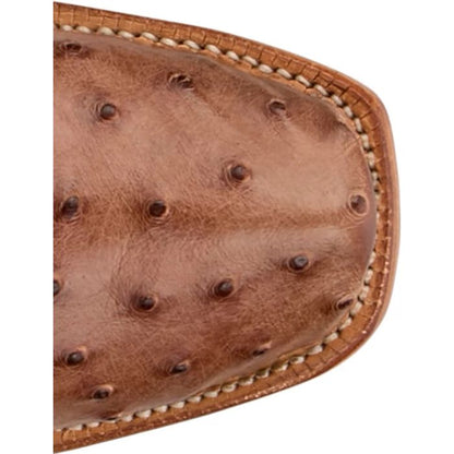 Carlock 13" Full Quill