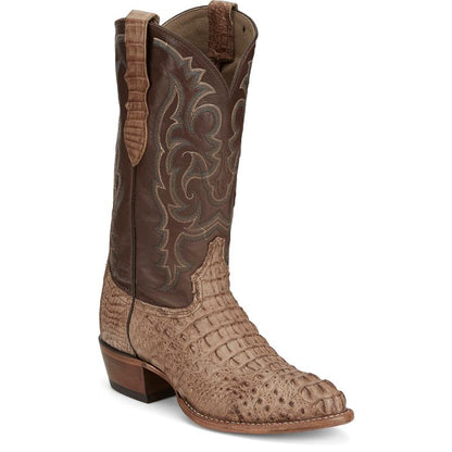 Javier 13" Hornback Caiman