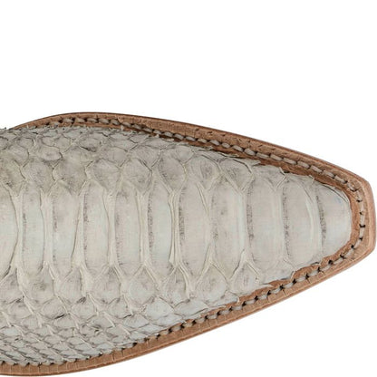 Vibora 17" Python