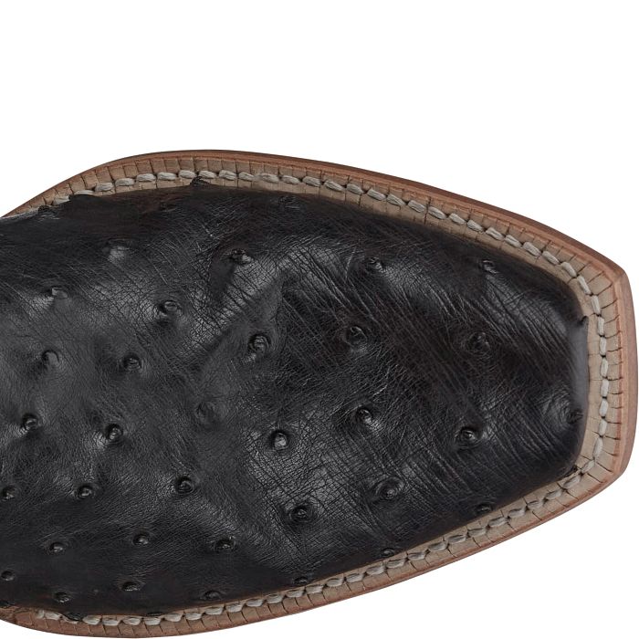 Rylen 13" Full Quill