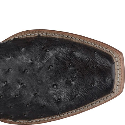 Rylen 13" Full Quill