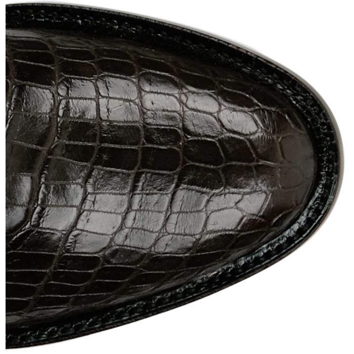 Cas 13" Crocodile