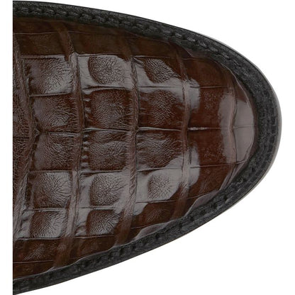 Vicente 13" Caiman