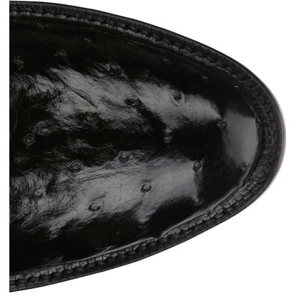 Memphis 13" Full Quill Ostrich