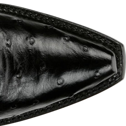 Carolina 17" Full Quill Ostrich