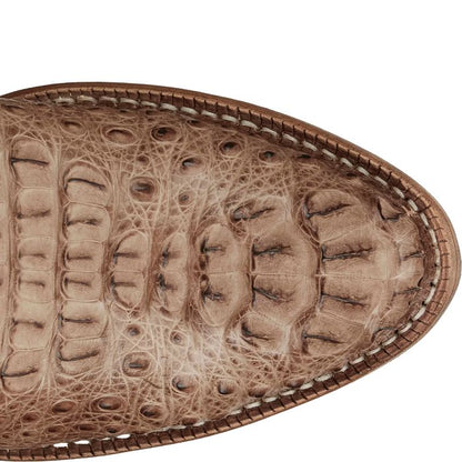 Javier 13" Hornback Caiman