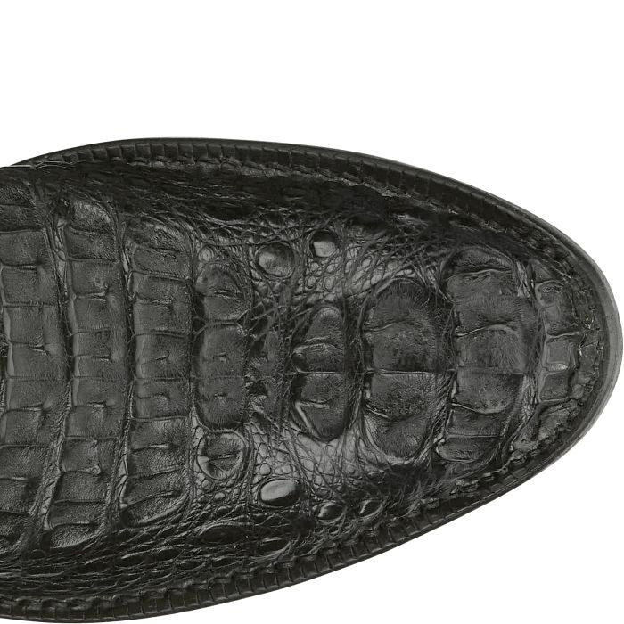 Javier 13" Hornback Caiman