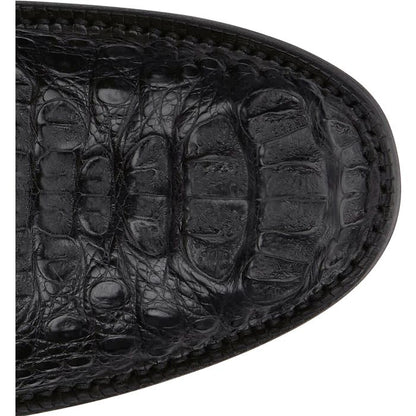 Elio 11" Hornback Caiman