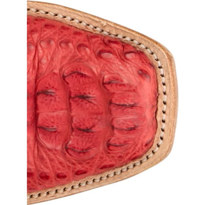 Elena 13" Hornback Caiman