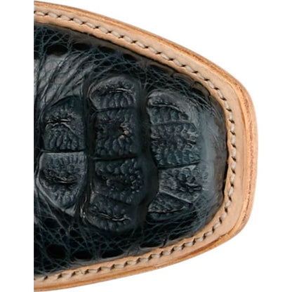 Elena 13" Hornback Caiman