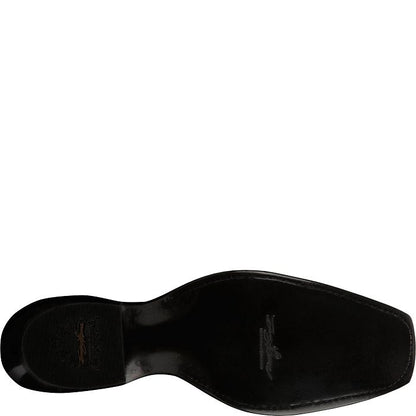 Salvador 13" Hornback Caiman