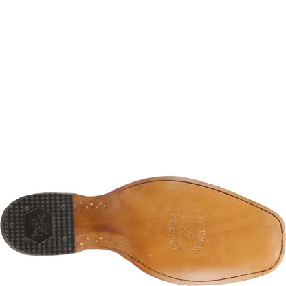 Dinero 13" Caiman