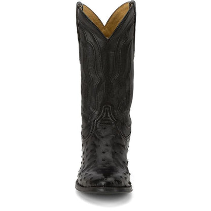 Canonero 12" Full Quill Ostrich