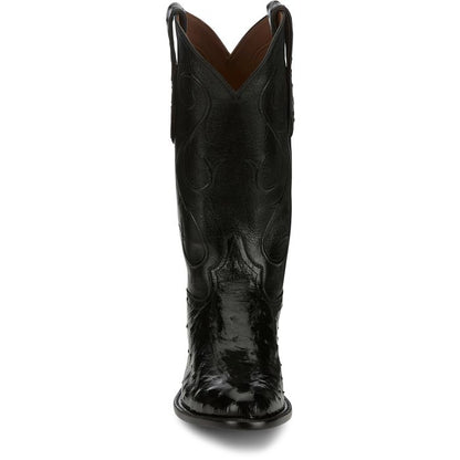 Memphis 13" Full Quill Ostrich